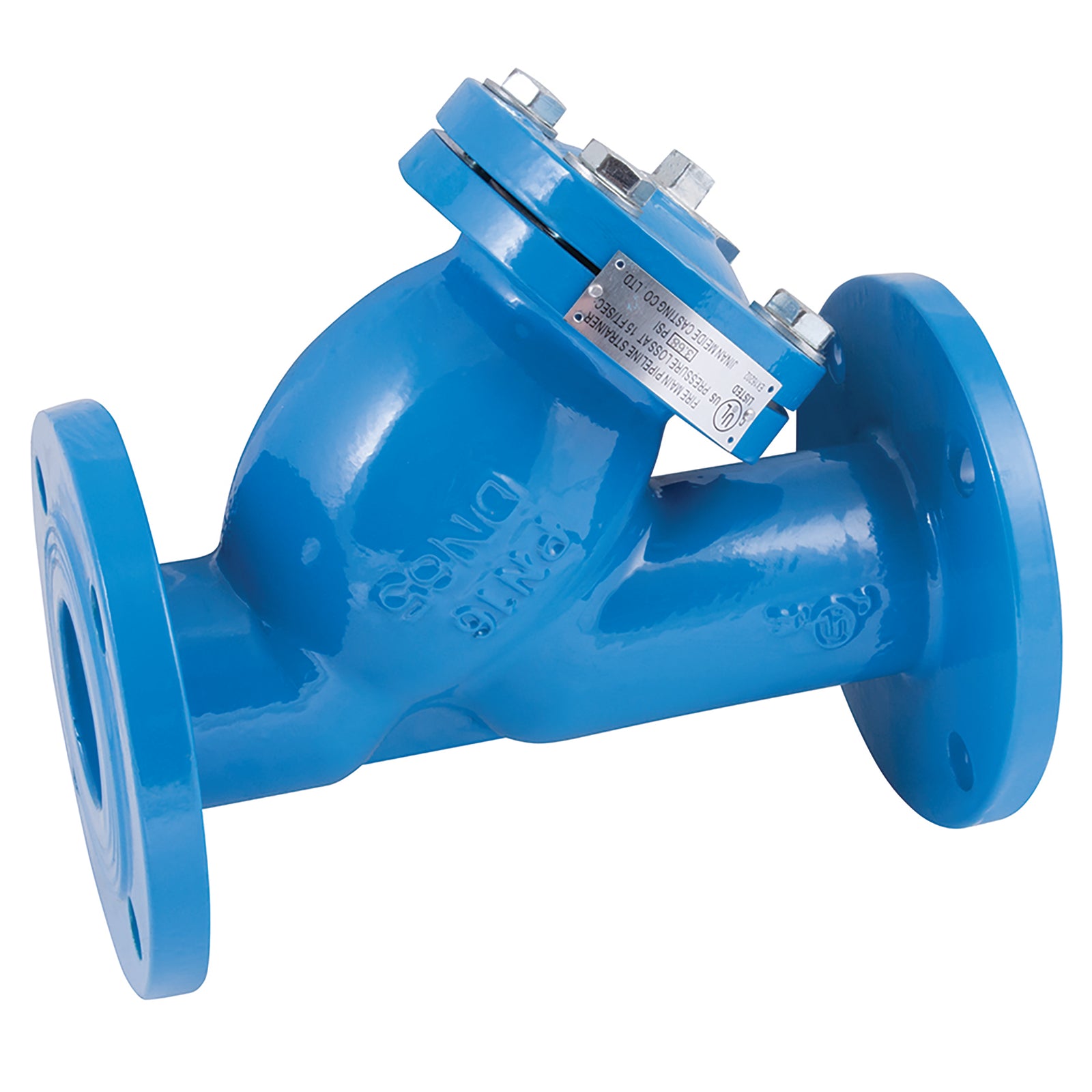 FT Pro HUKYS 09W 09W 2" Pn16 Flanged Wras App C/I Y Strainer