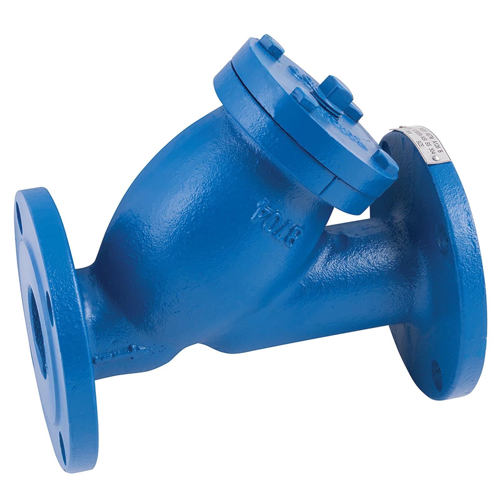 FT Pro E21 09 09 2" Pn16 Di Y Strainer 1.5mm Mesh