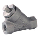FT Pro 232-2 - 2" Nbsw Carbon Steel Y Strainer 800Lb