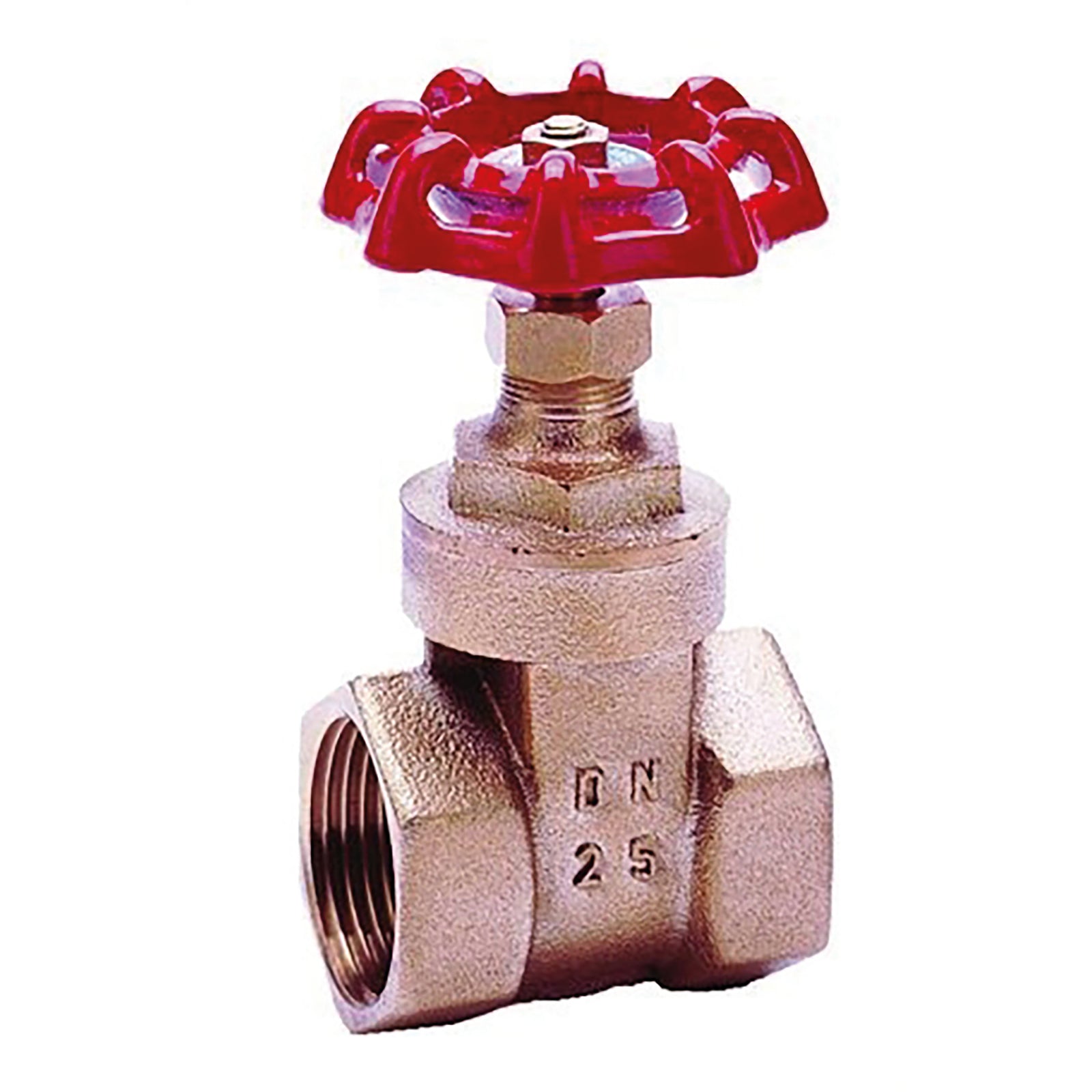 Non-branded BE2015-40 - 2.1/2" BSPP Female Gate Valve