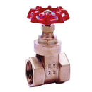 1" BSPP Female Gate Valve; BE2015-16 product image by Non-branded