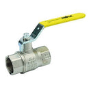FT Pro BE4181-64 - 4" BSPP Female Wras/Gas Lever Ball Valve