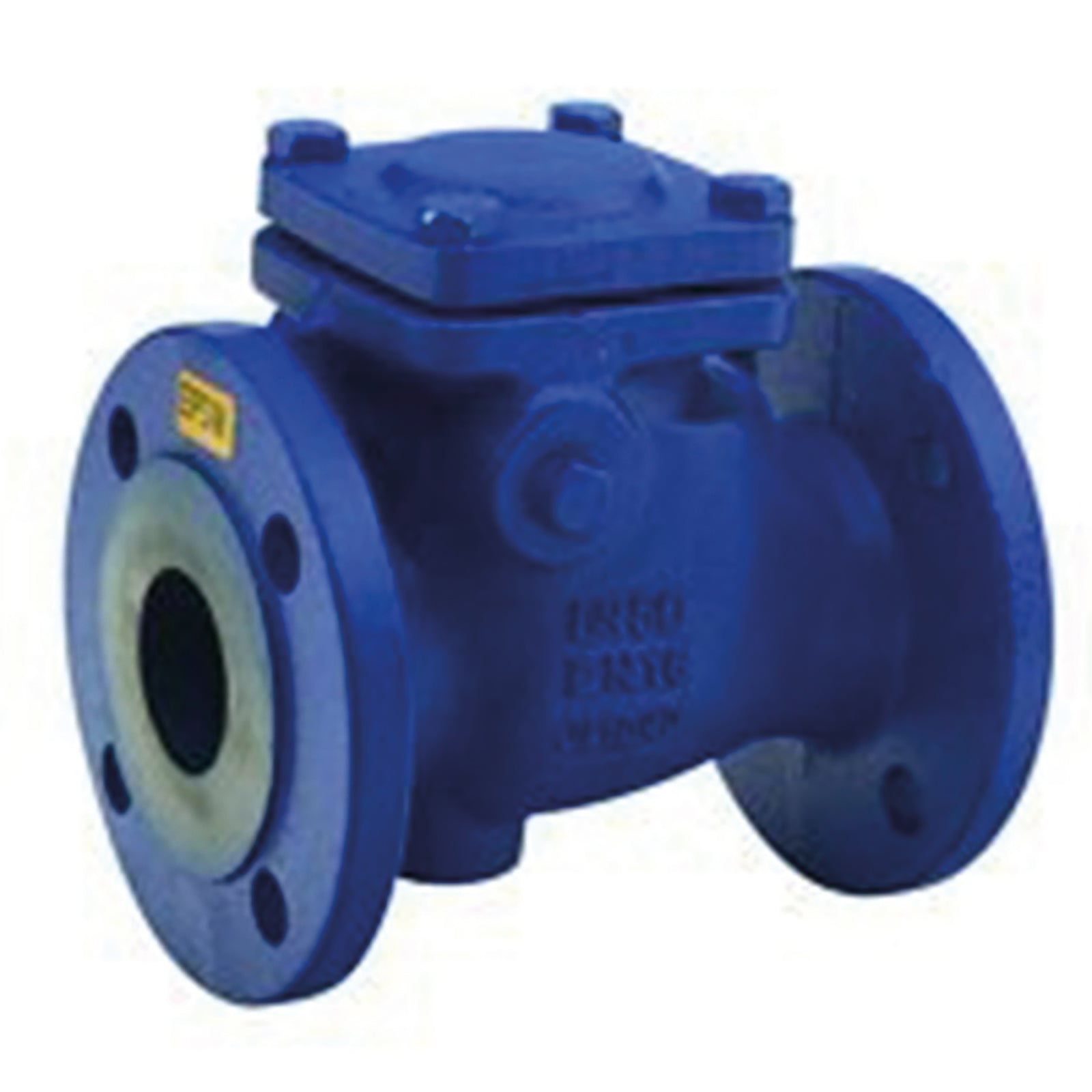 FT Pro BE5170-32 - 2" Flange Swing Check Valve Pn17