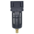 FT Pro AF3000-02D - 1/4" BSPP Female Filter