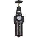 FT Pro AFR900-15D - 1.1/2" BSPP Female Filter