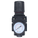 FT Pro AR3000-02 - 1/4" BSPP Female Regulator