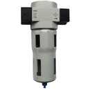 FT Pro DF600-06 - 3/4" BSPP Female Filter