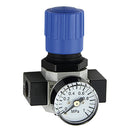 FT Pro DR100-M5 - M5 Metric Female Regulator