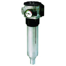 Parker TPR110QLBG2EG121 - 3/4" BSPP Female Tank Top Filter