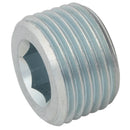 FT Pro SAK02 - 1/8" BSPT Male Allen Key Plug