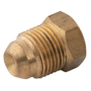 FT Pro CIP05 - 5/16" OD Tube Plug (34003605)