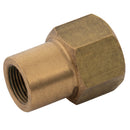 FT Pro CMF10/06 - 3/8"BSPPf X 10mm OD Str Adapt (36050520)