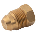 FT Pro CMP05 - 5mm OD Tube Plug (36050903)