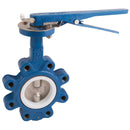 8" PN16 LUG BFLY VLV SS/SS/NBR SS LVR; 2014LT 16 product image by FT Pro