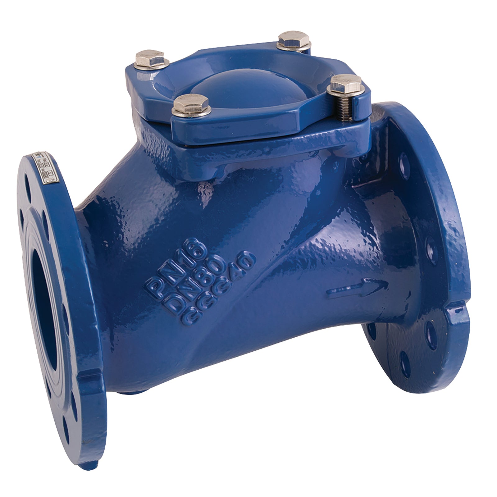 Genebre 2453 10 10 21/2" C/I Ball Check Vlve Flanged Pn16