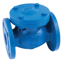 Industrial check valves for backflow prevention