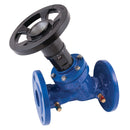 12" (DN50) PN16 DI DOU REGULATING Valve; 2228 20 product image by FT Pro