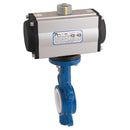 Haitima, FT Pro HSA 2014WU 14 2014WU 14 6" Wafer Bfly Ss/Ss/Pt F/W Hait Sa Act