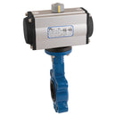 12" PN16 L+T BFLY SS/SS/FPM HAIT DA ACT; HDA 2014LV 20 product image by Haitima, FT Pro