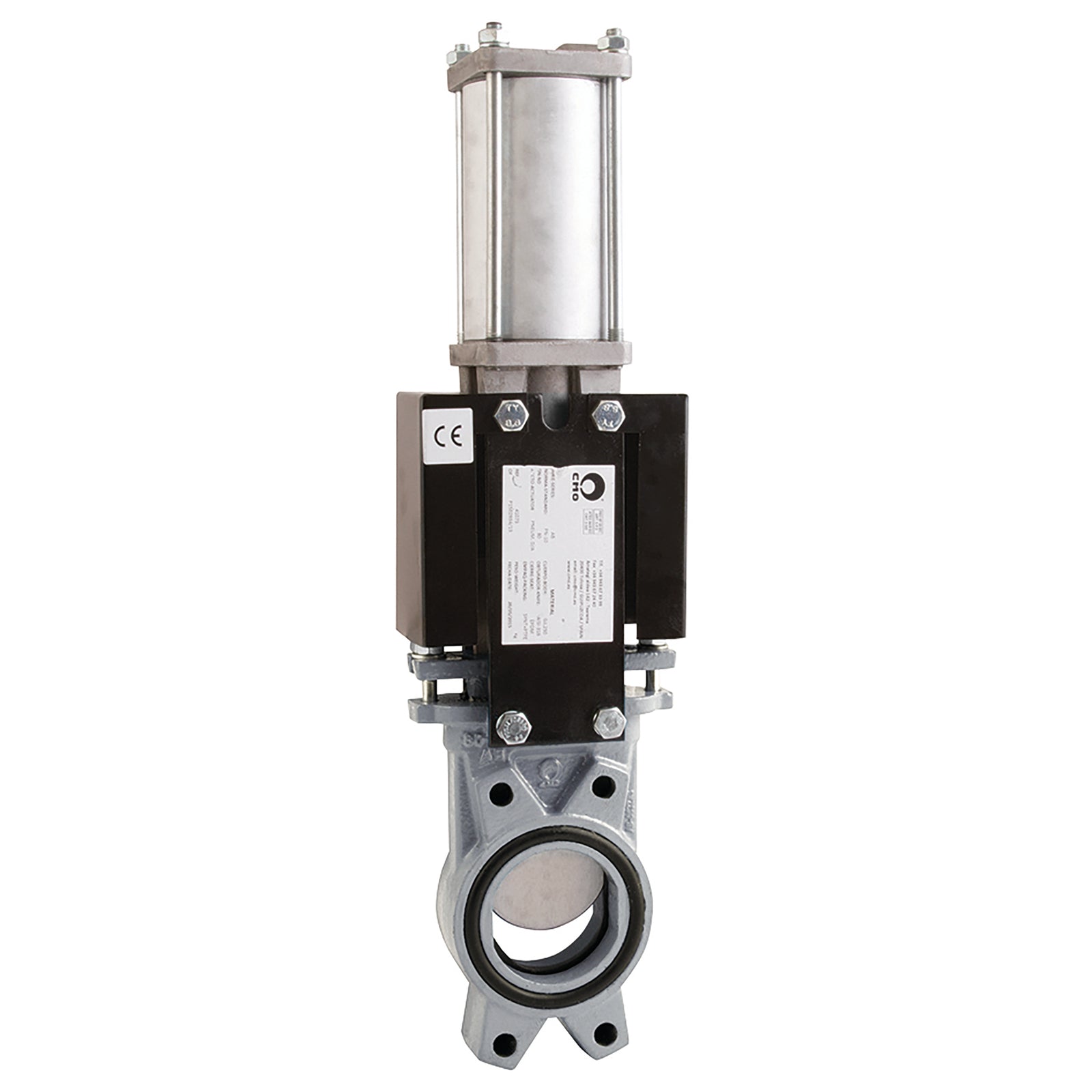 FT Pro AB1N2I2 10 10 2.1/2" Pn10 Ss Kgv 316Ss/Epdm Bdir D/Act