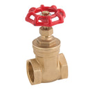 FT Pro GV12-34 - 3/4" BSPT Pn20 Brass Gate Valve