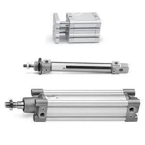 Pneumatic cylinders