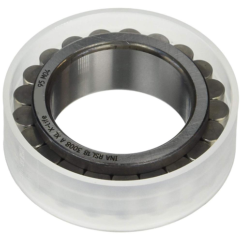 INA RSL-182210 Cylindrical Roller Bearing