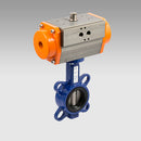 Rv-Fluid Butterfly Cast Iron 2 Dn50 Se - W0900300051 | Metal Work Pneumatic Online