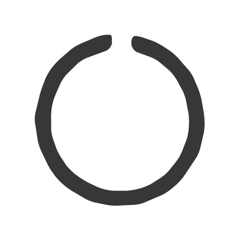 INA WR-47 Snap Ring