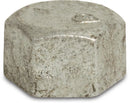 Profec Hexagon Cap Galvanised Cast Iron 2" Female Thread 25Bar | Profec | UK Supplier | Roladex