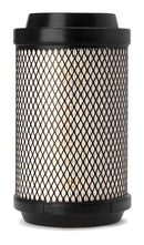 Fleetguard Air Filter-Cabin AF55738