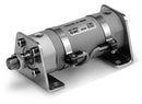 SMC CG3DN80-100 SMC Air Cylinder