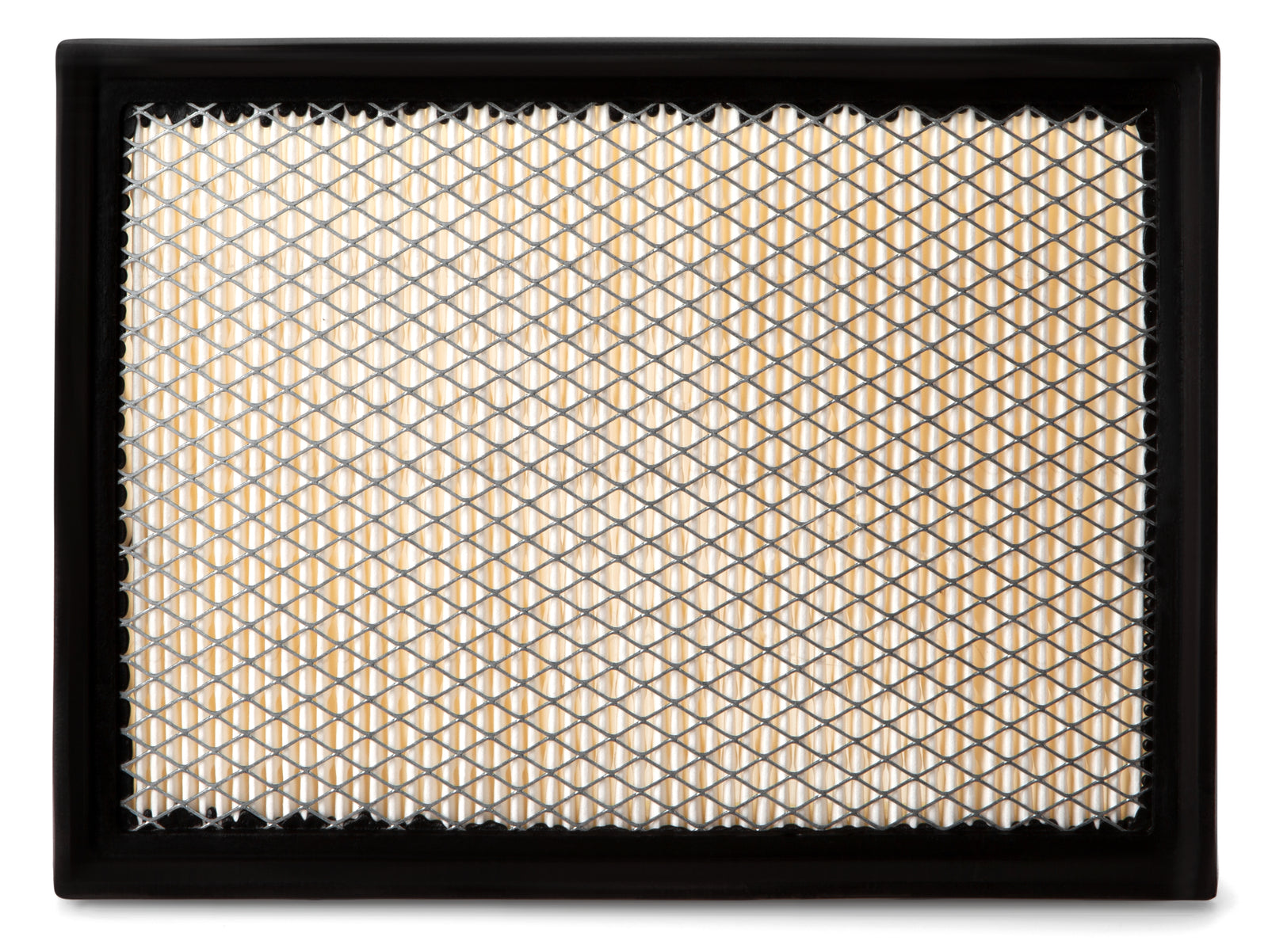 Fleetguard Air Filter-Plastic Panel On-Engine AF25754