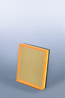 Fleetguard Air Filter-Plastic Panel On-Engine AF25797