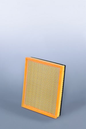 Fleetguard Air Filter-Plastic Panel On-Engine AF25797