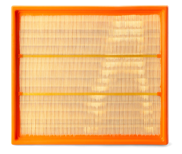 Fleetguard Air Filter-Plastic Panel On-Engine AF25306