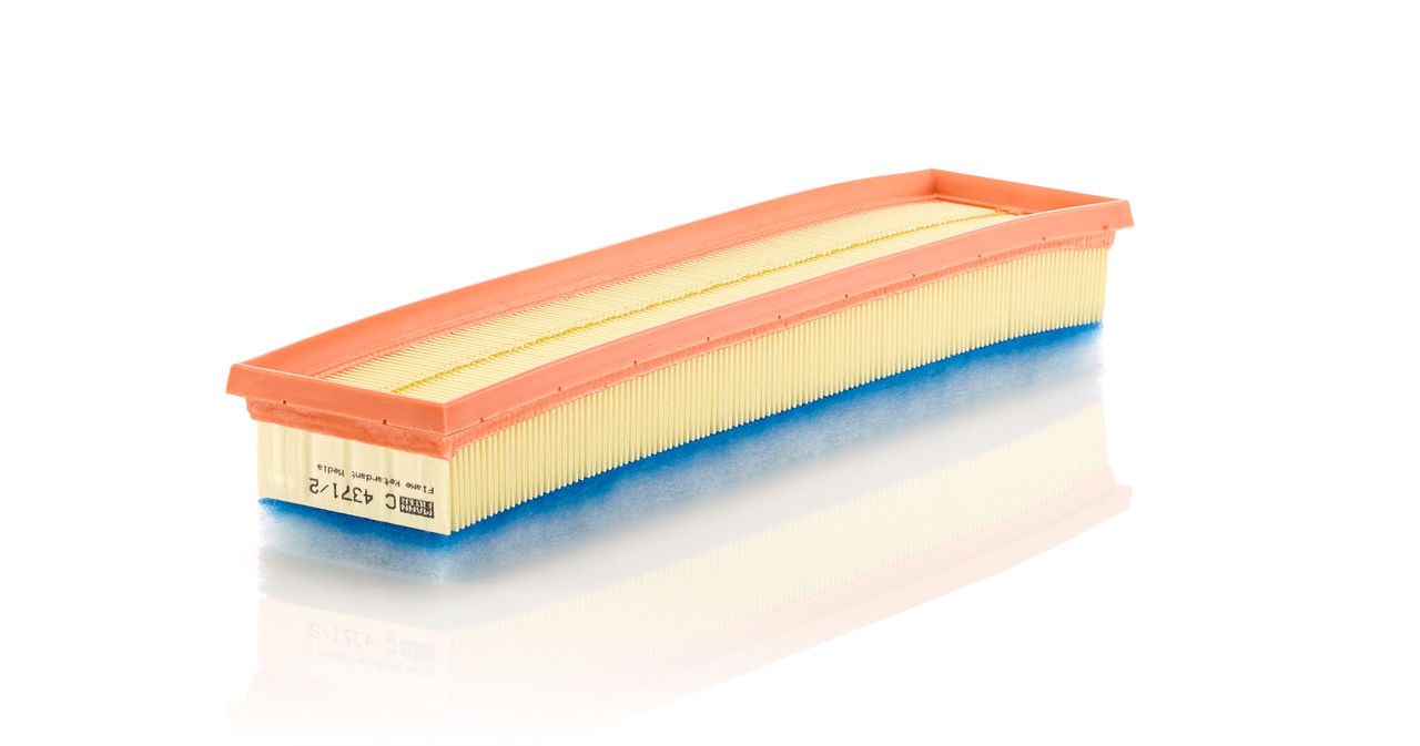 Mann Air Filter C 4371/2