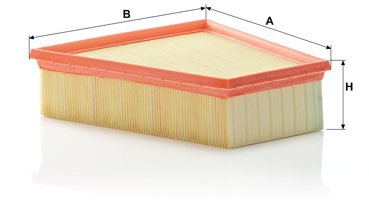 Mann Air Filter C 2295/3