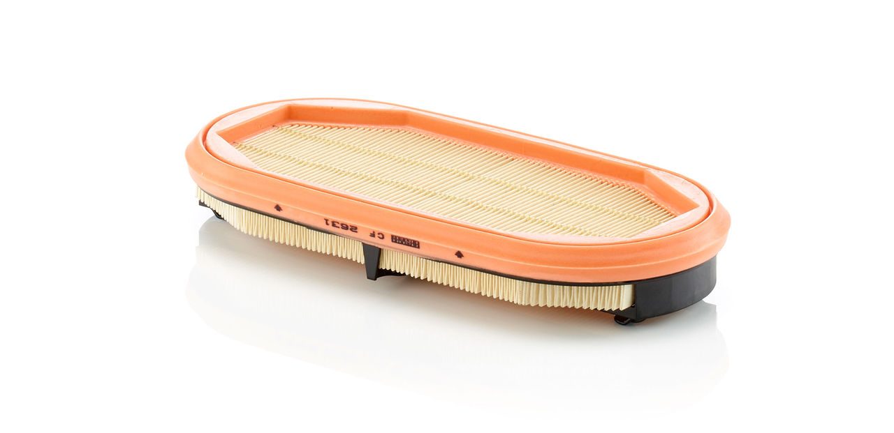 Mann Secondary Element Filter CF 2631