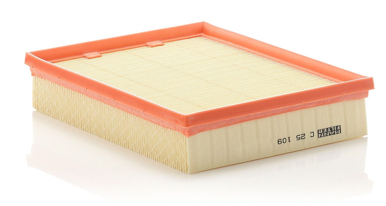 Mann Air Filter C 25 109