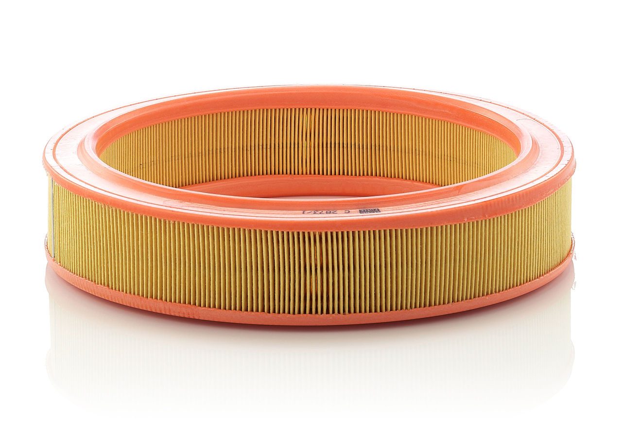 Mann Air Filter C 2873/1