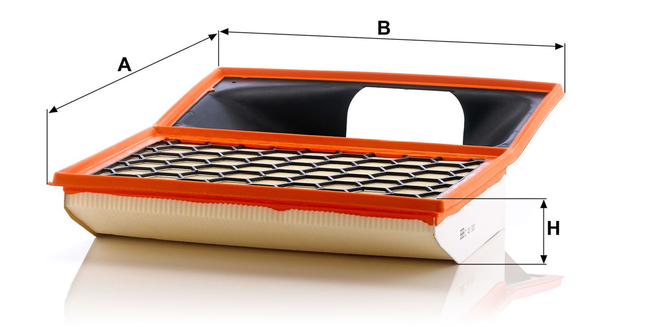 Mann Air Filter C 40 001