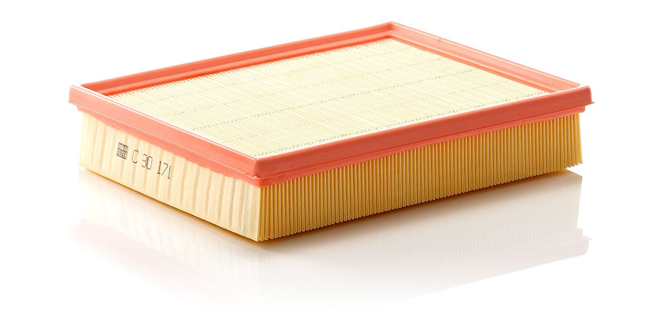 Mann Air Filter C 30 171