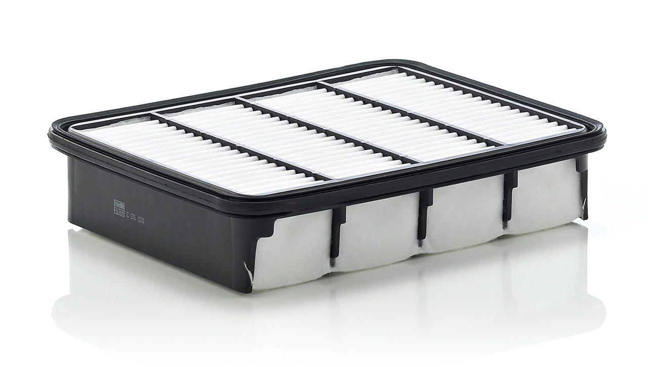 Mann Air Filter C 25 128