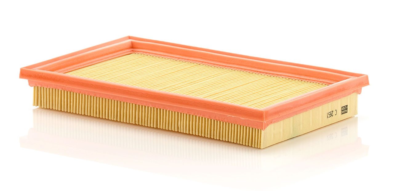 Mann Air Filter C 2851