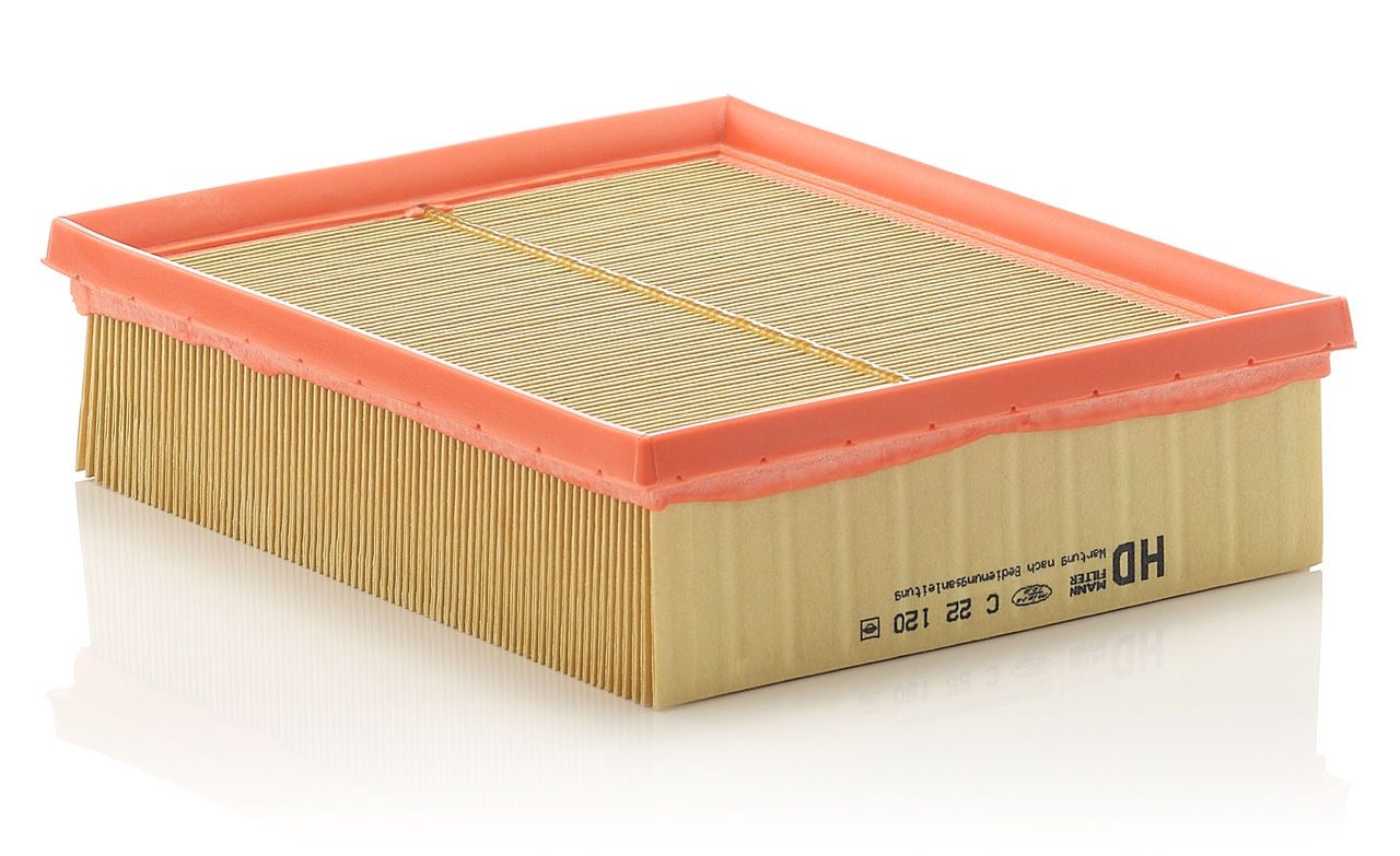 Mann Air Filter C 22 120