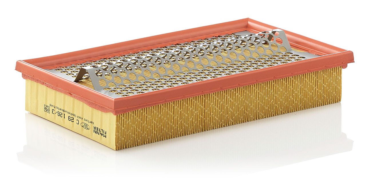 Mann Air Filter C 29 126/3