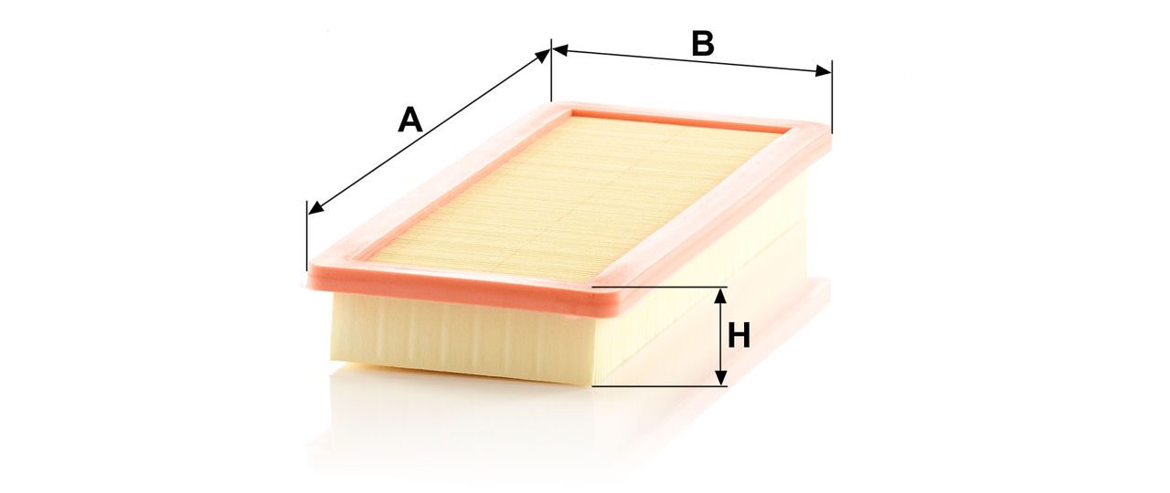Mann Air Filter C 36 002