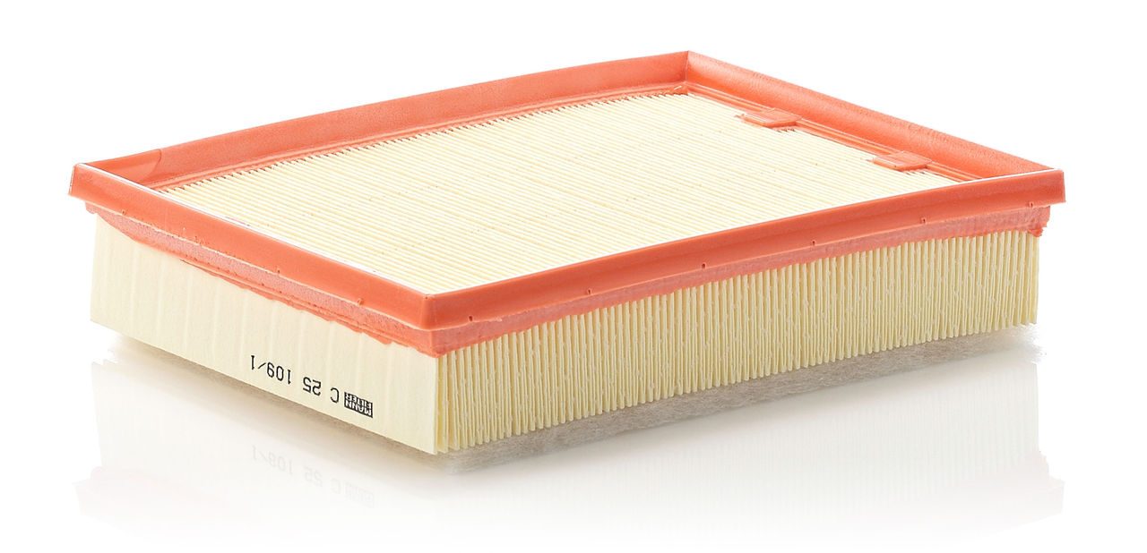 Mann Air Filter C 25 109/1