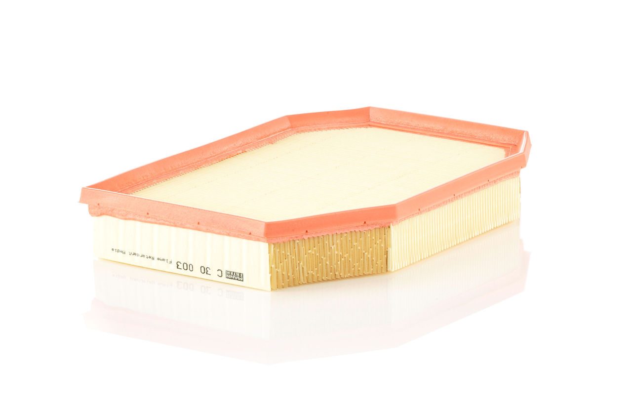 Mann Air Filter C 30 003